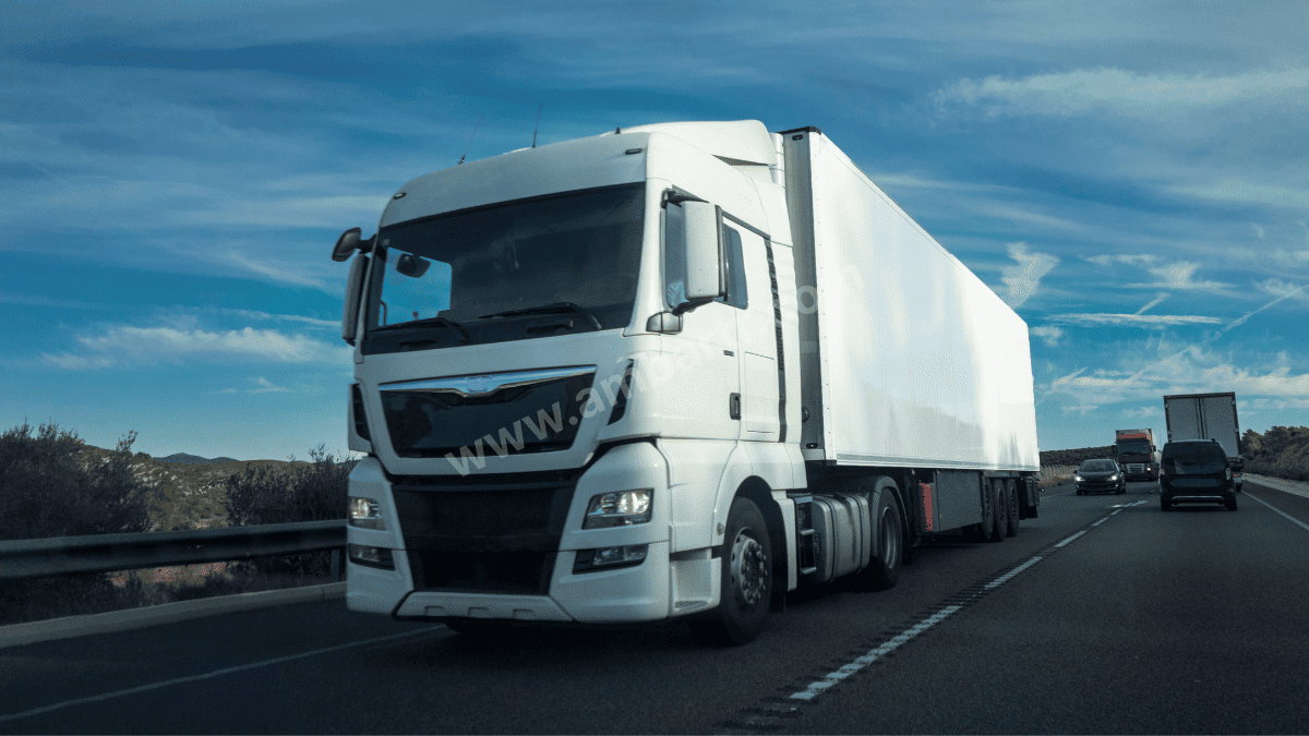 Darıca Şehirler Arası Taşıma